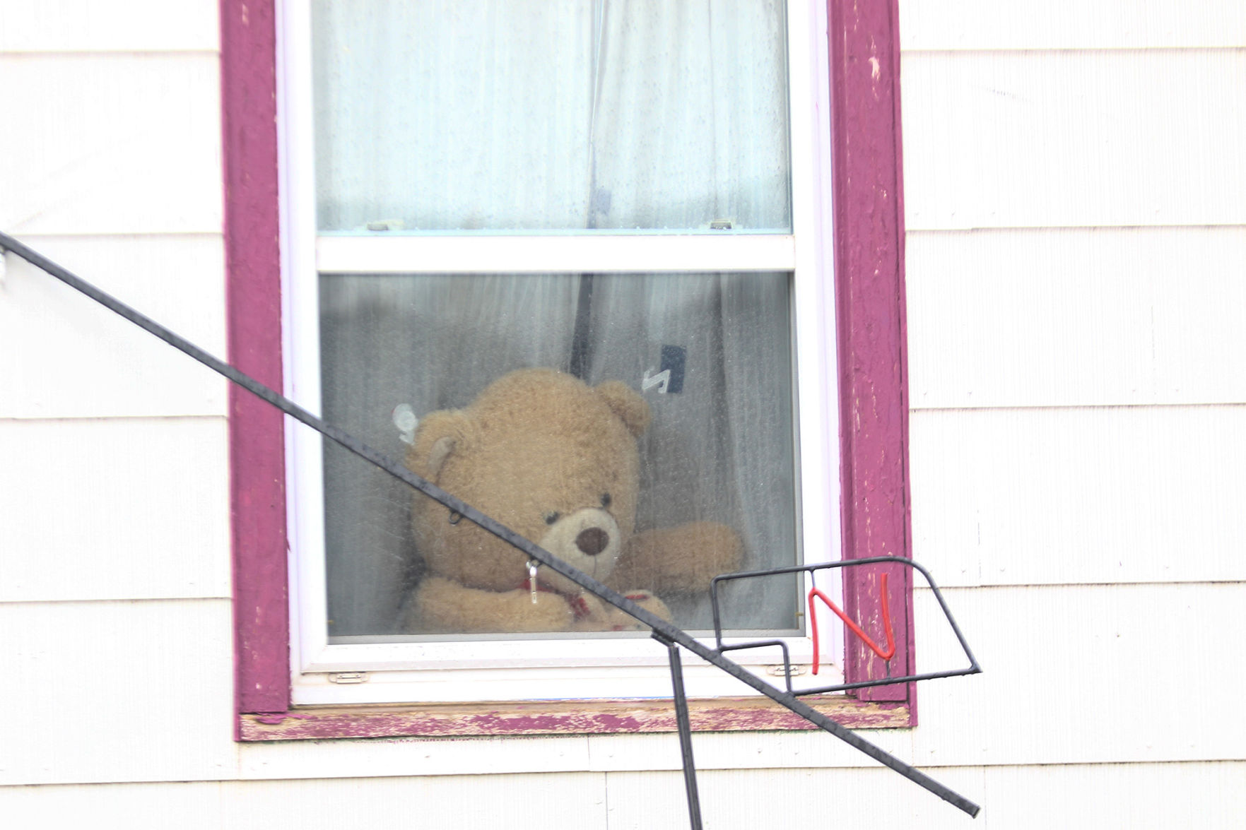 PHOTOS: Bear Hunt
